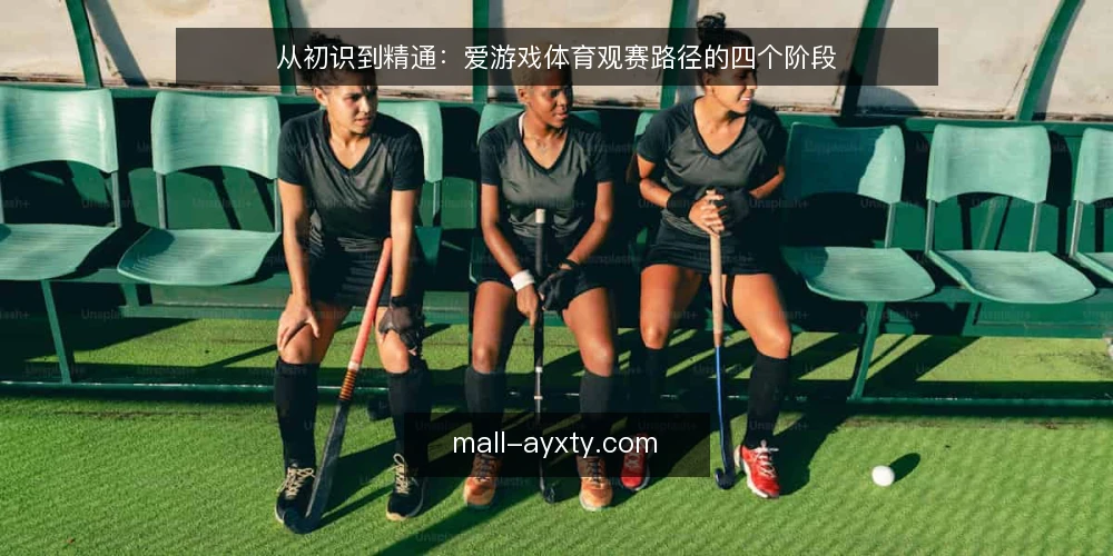 从初识到精通：爱游戏体育观赛路径的四个阶段 — 明确观赛起点：从资讯需求出发 配图