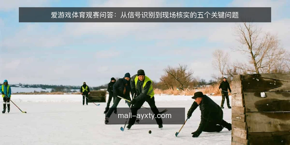 爱游戏体育观赛问答:从信号识别到现场核实的五个关键问题 — 哪些信号值得关注? 配图