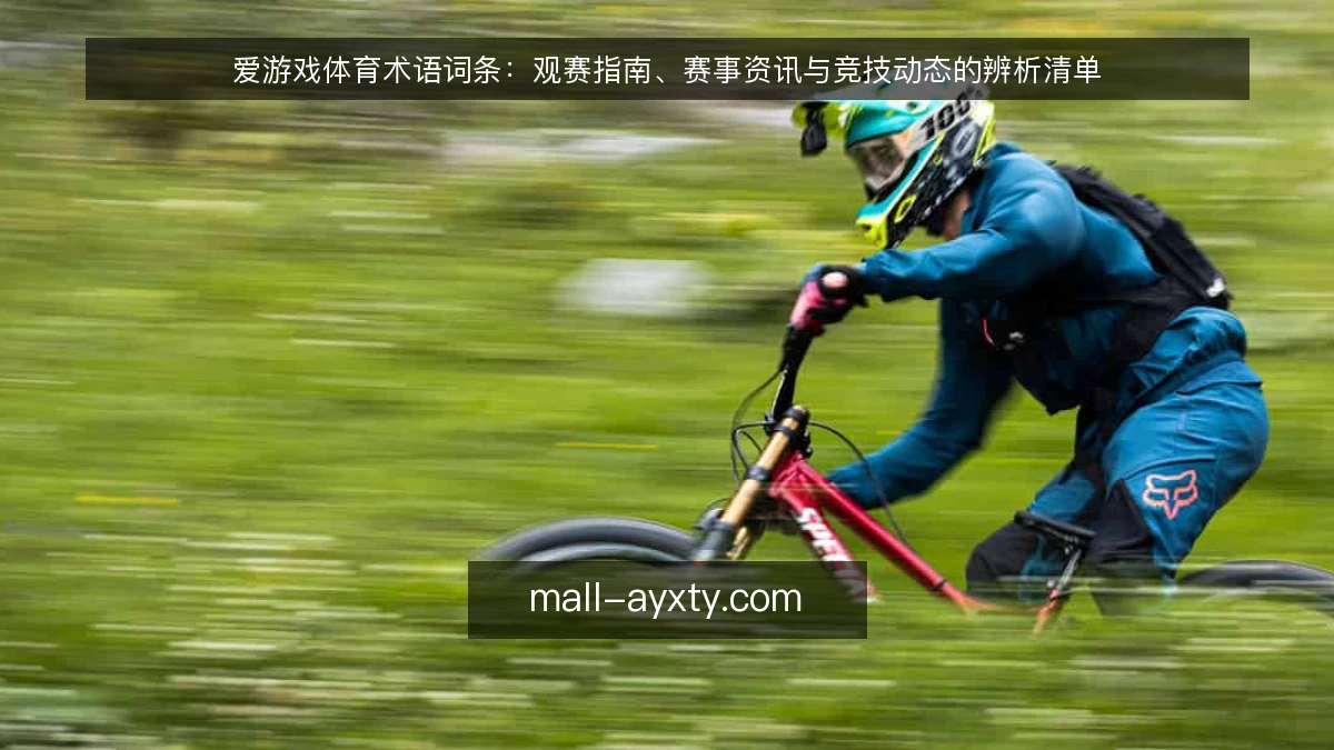 爱游戏体育术语词条：观赛指南、赛事资讯与竞技动态的辨析清单
