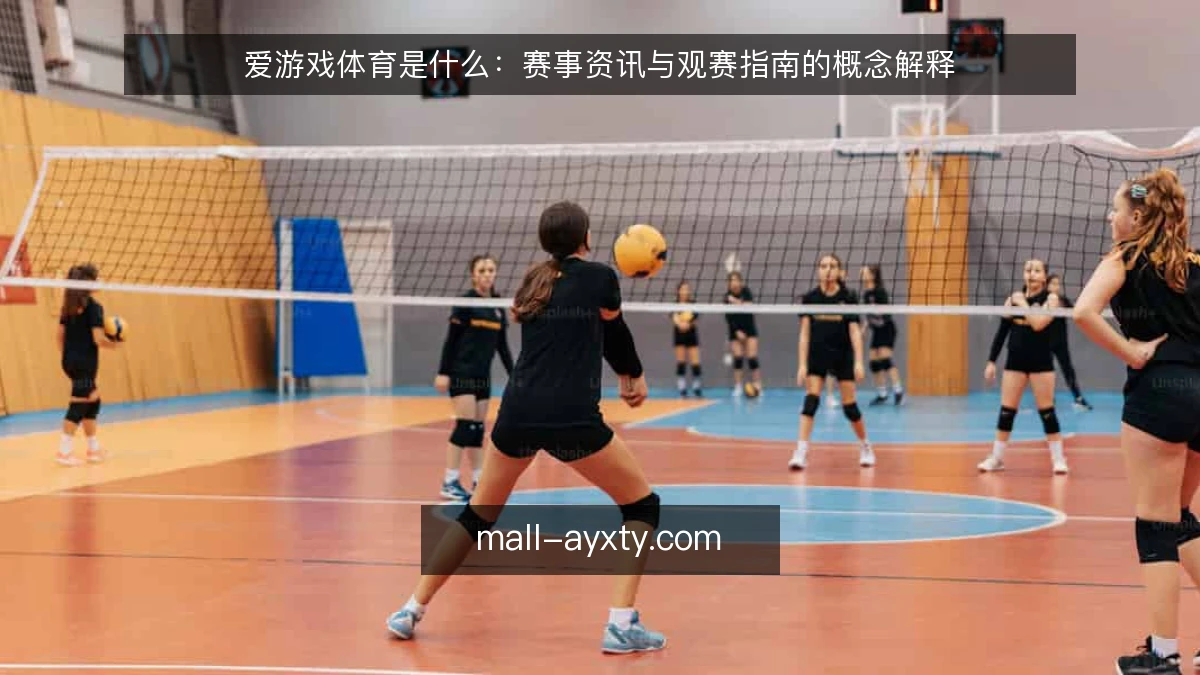 爱游戏体育是什么:赛事资讯与观赛指南的概念解释